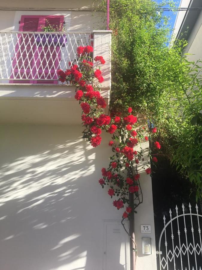 A Casa Di Lolu Bed & Breakfast Grottammare Ngoại thất bức ảnh